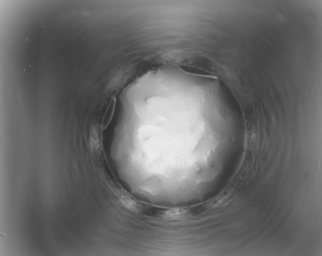 X0000060770335200512011618