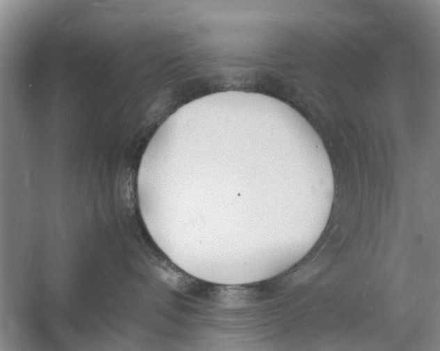 X0000060770336200512011618