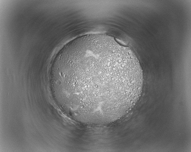 X0000060770337200512011617