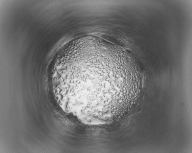 X0000060770339200512011618