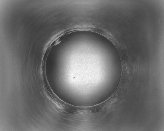 X0000060770340200512011618