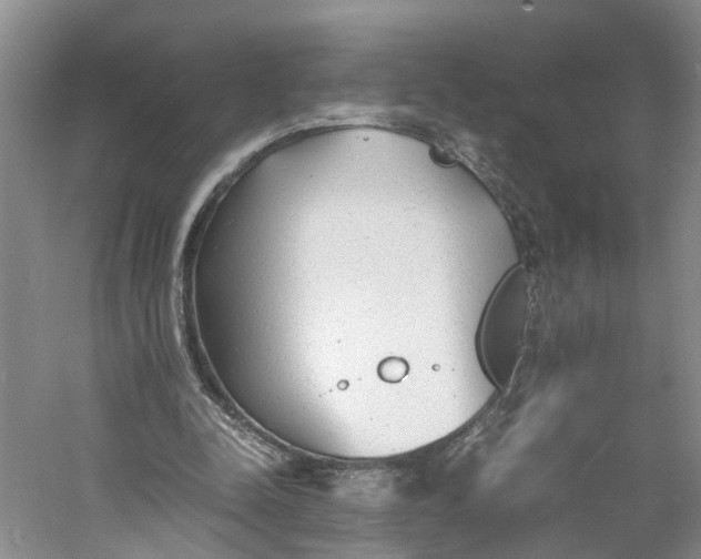 X0000060770342200512011618