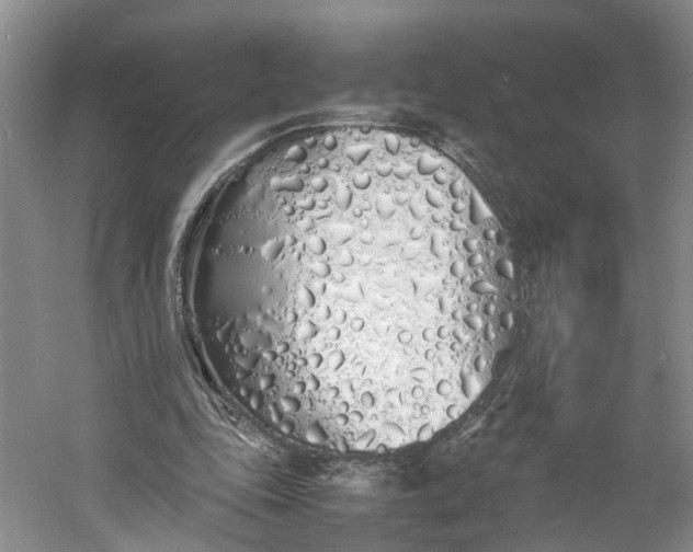 X0000060770343200512011618