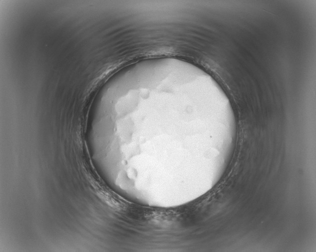 X0000060770345200512011618