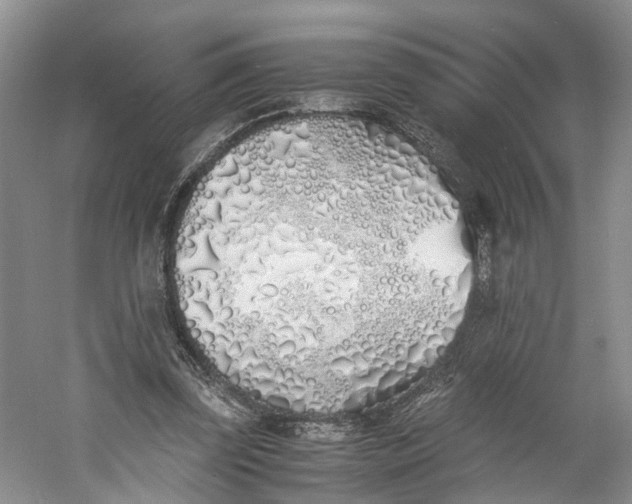 X0000060770347200512011618