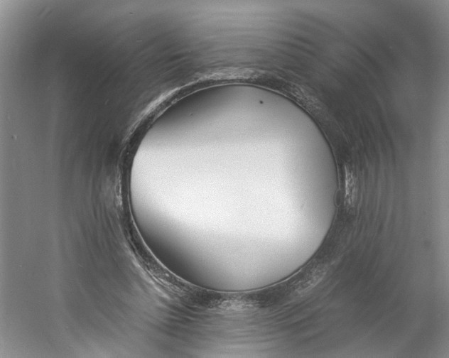 X0000060770348200512011618