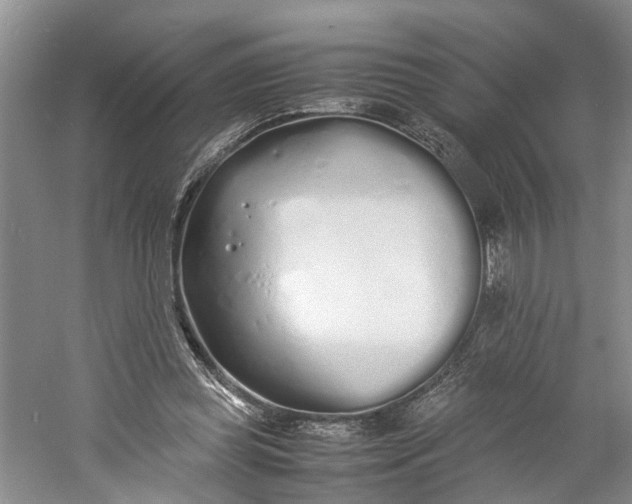 X0000060770349200512011618