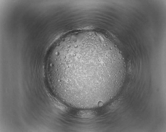 X0000060770351200512011618