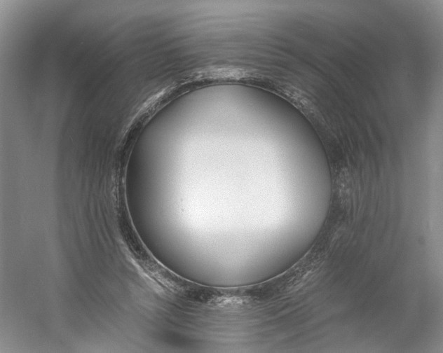 X0000060770352200512011618