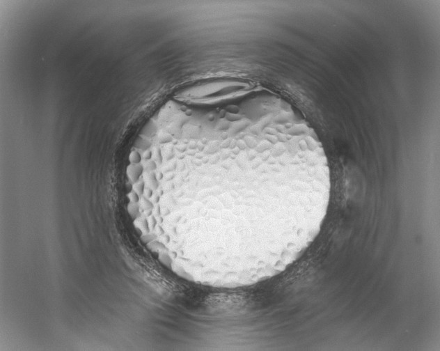 X0000060770354200512011618