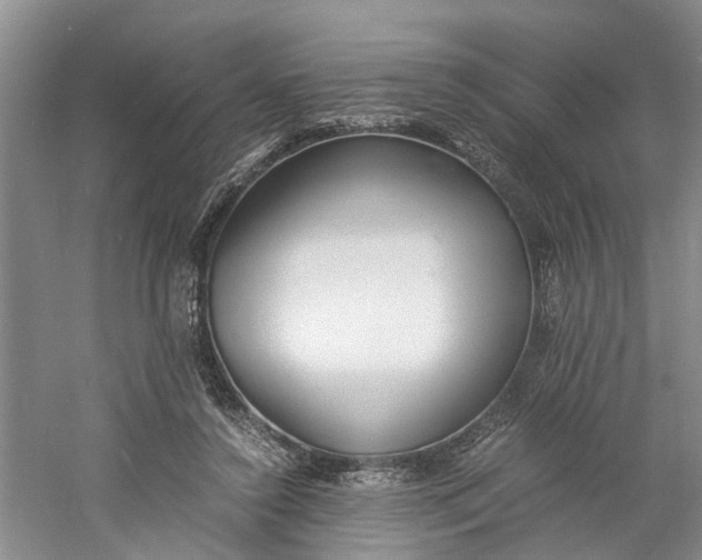 X0000060770356200512011618