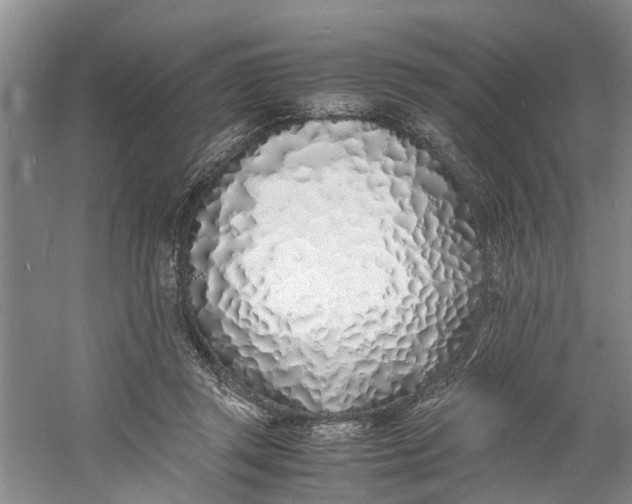 X0000060770357200512011618