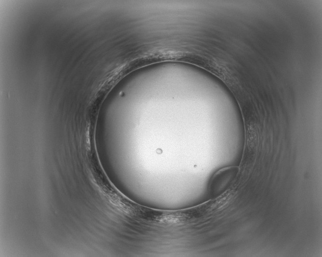 X0000060770358200512011618