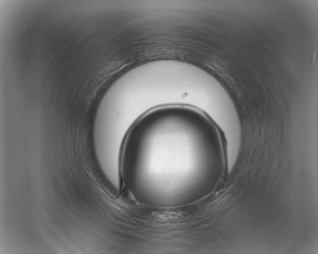 X0000060770359200512011618