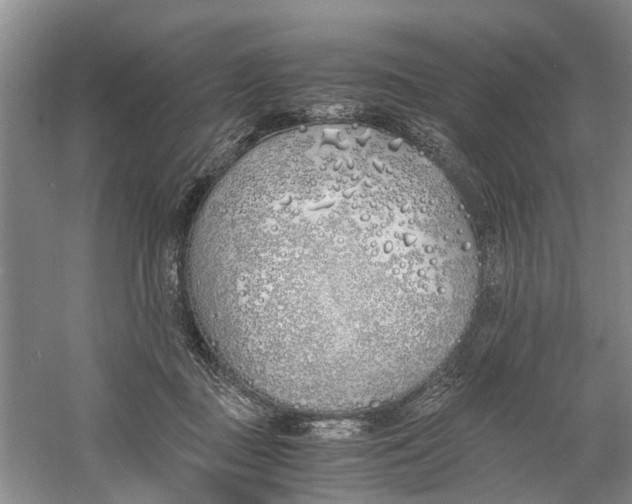 X0000060770363200512011618