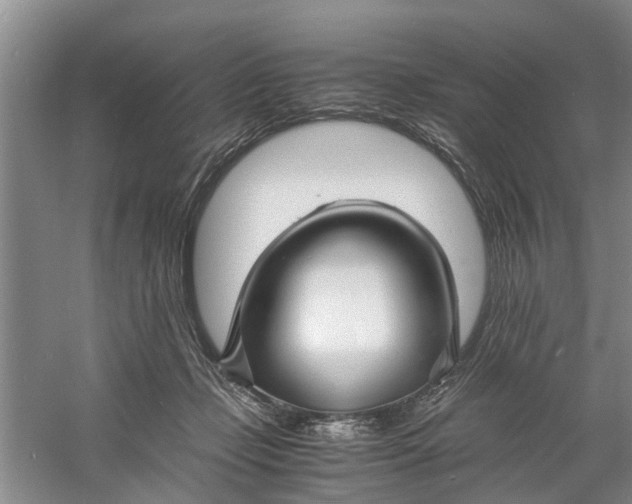 X0000060770365200512011618