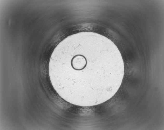 X0000060770370200512011618