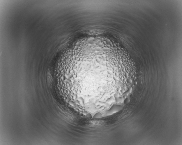 X0000060770371200512011618