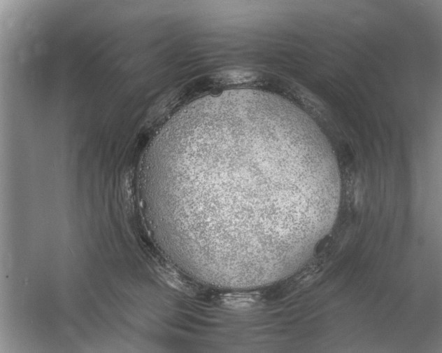 X0000060770373200512011618