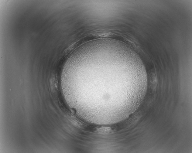 X0000060770374200512011618