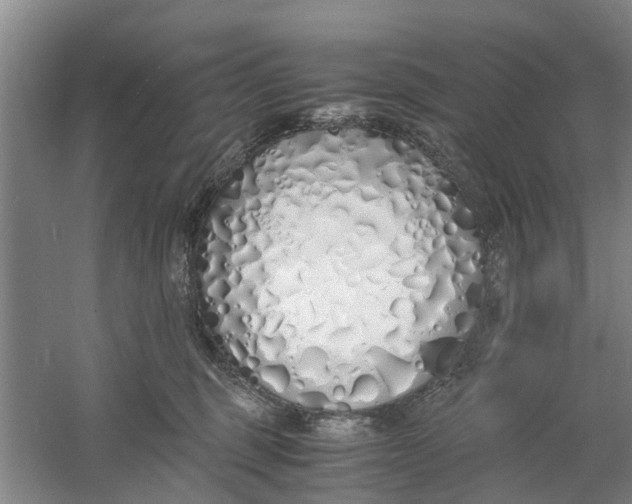 X0000060770375200512011618