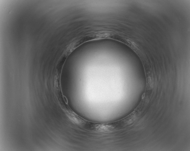 X0000060770379200512011618