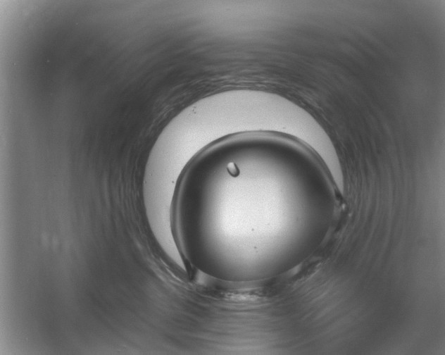 X0000060770380200512011618