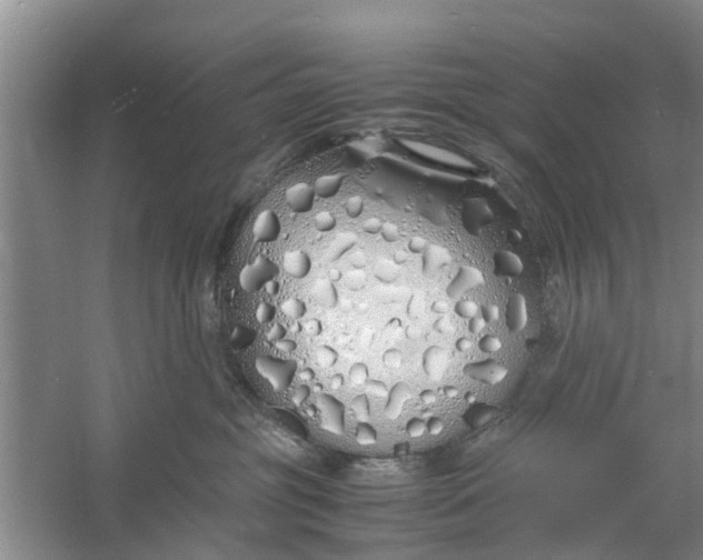 X0000060770381200512011618