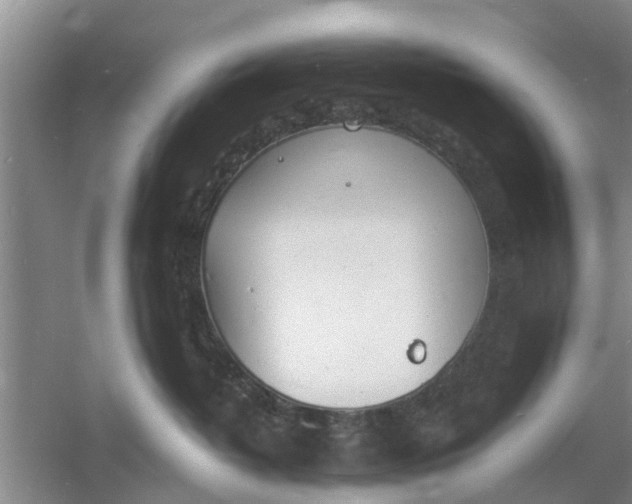 X0000060770382200512011618