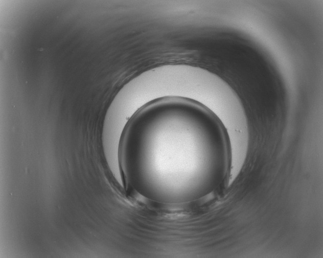 X0000060770383200512011618