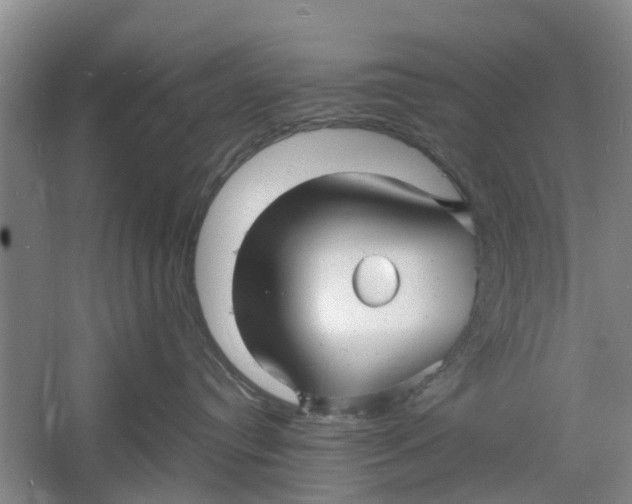 X0000060770384200512011618