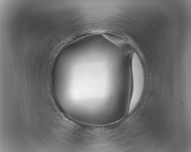 X0000060770385200512011617