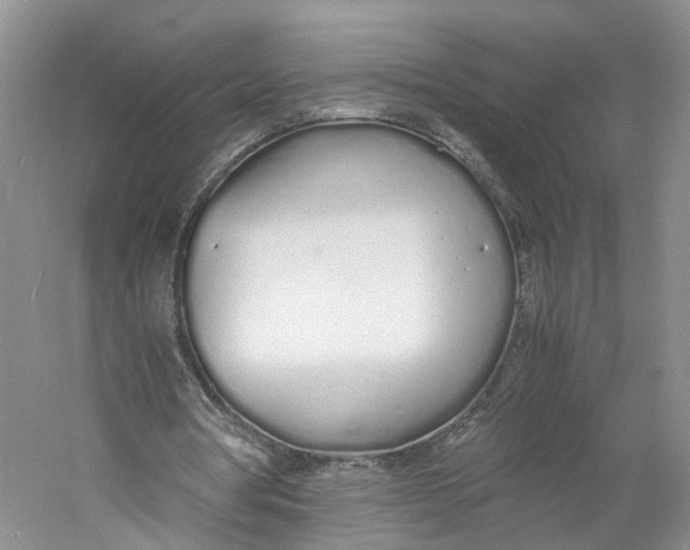 X0000060770386200512011617