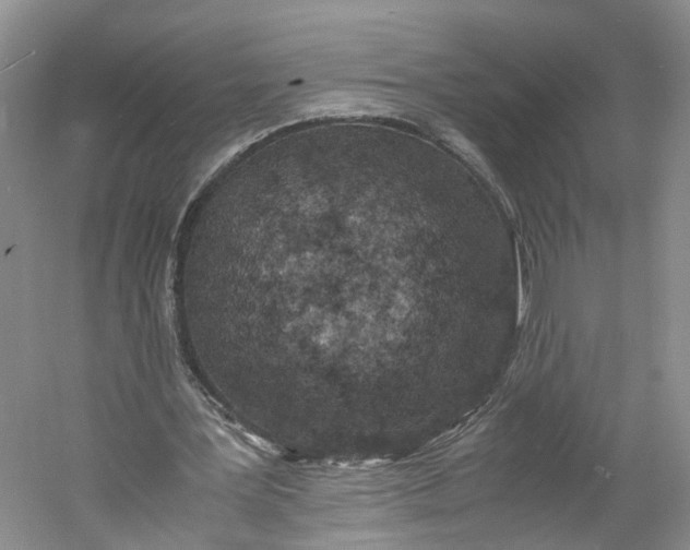 X0000060770387200512011617