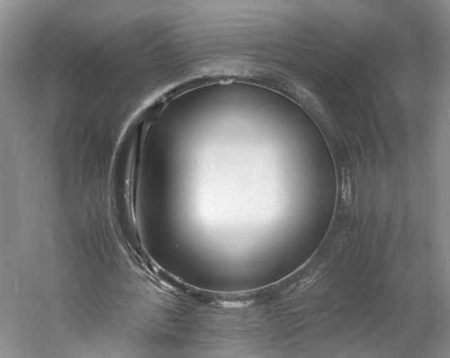 X0000060770388200512011617