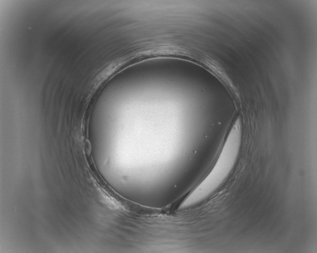 X0000060770389200512011617