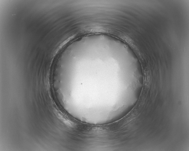 X0000060770390200512011617