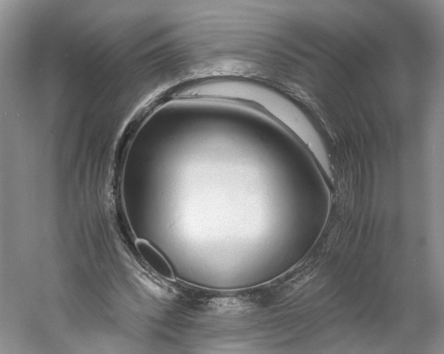 X0000060770392200512011617