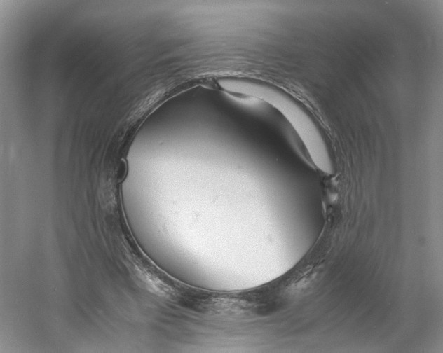 X0000060770393200512011617