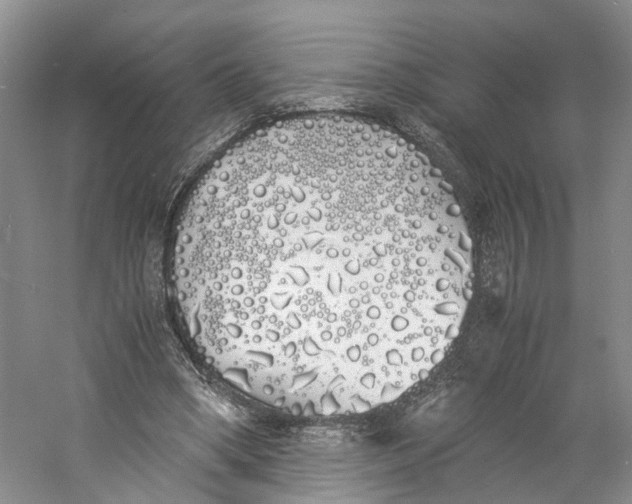 X0000060770394200512011617