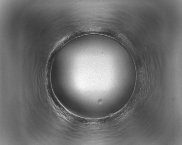 X0000060770395200512011617