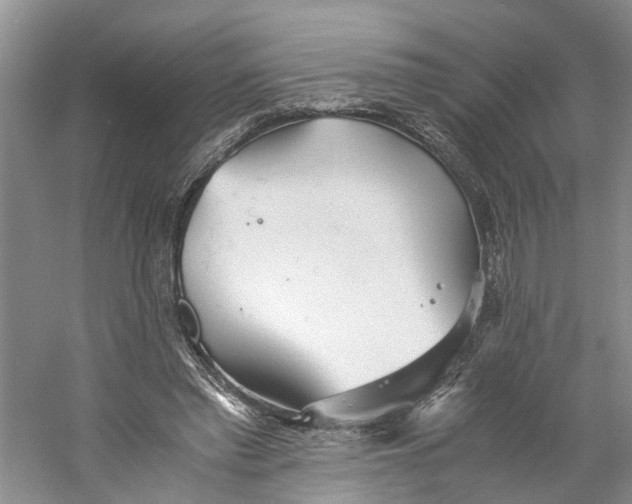 X0000060770397200512011617