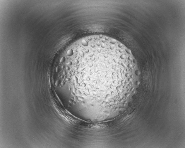 X0000060770398200512011617