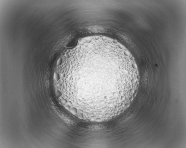 X0000060770402200512011617