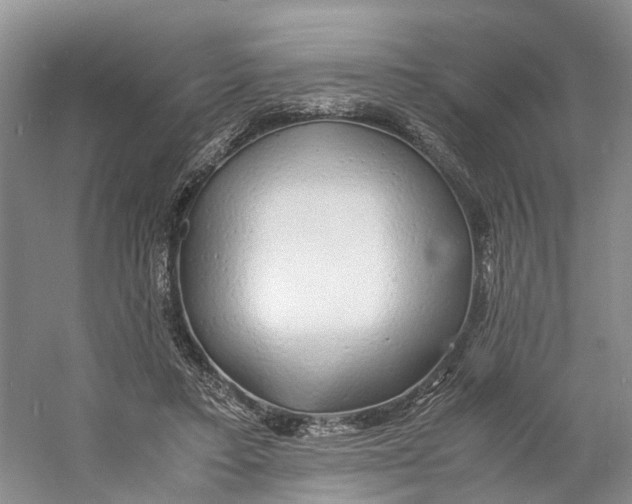 X0000060770403200512011617