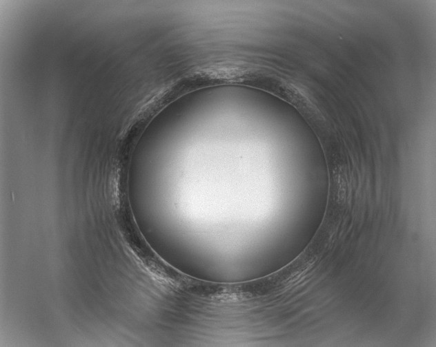 X0000060770404200512011617