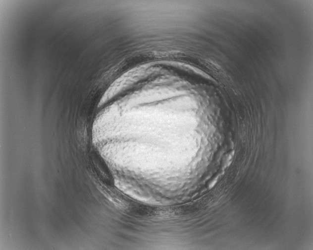 X0000060770405200512011617