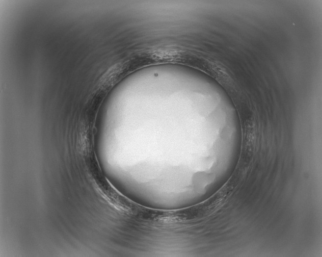 X0000060770408200512011617