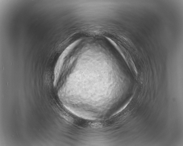 X0000060770409200512011617