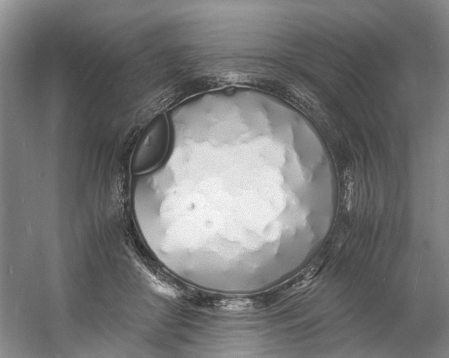 X0000060770410200512011617